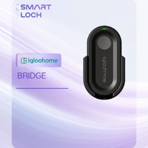 Igloohome Key Fob