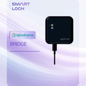 Igloohome WIFI Bridge
